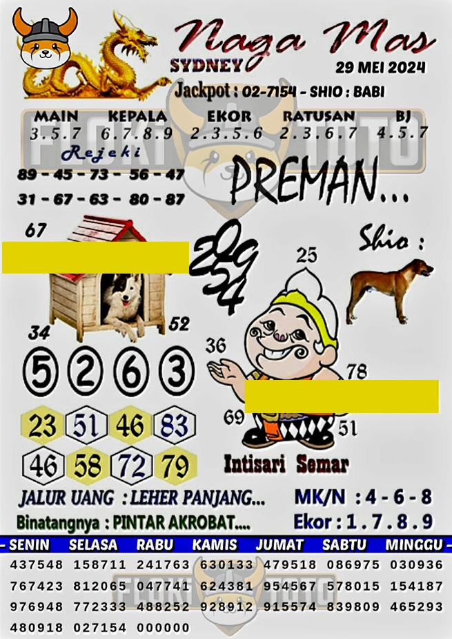 SYAIR SDY VIP
